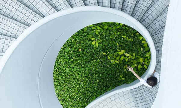eco three