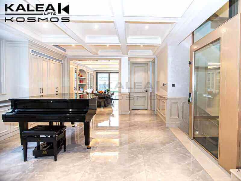 GLOBAL PROJECTS 106 home lift elevator kalea copy45