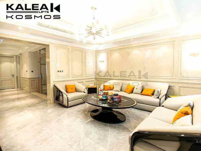 GLOBAL PROJECTS 105 home lift elevator kalea copy46