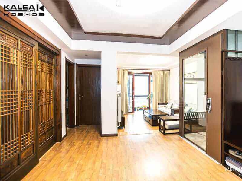 GLOBAL PROJECTS 137 home lift elevator kalea copy59