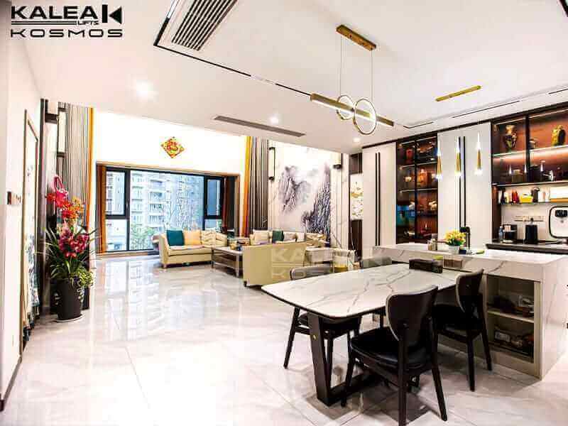 GLOBAL PROJECTS 125 home lift elevator kalea copy70